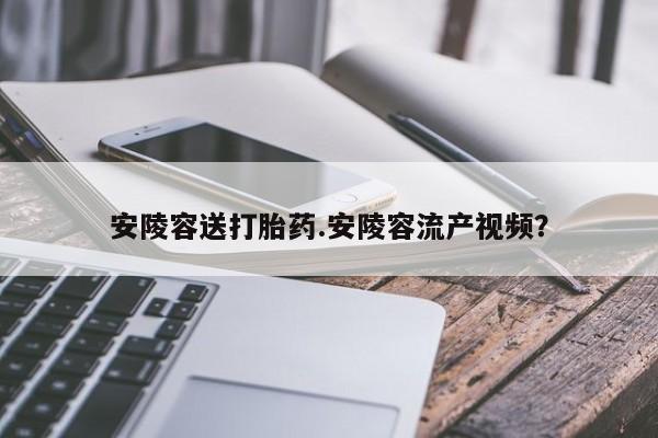 在哪里买流产药包邮安陵容送打胎药.安陵容流产视频?