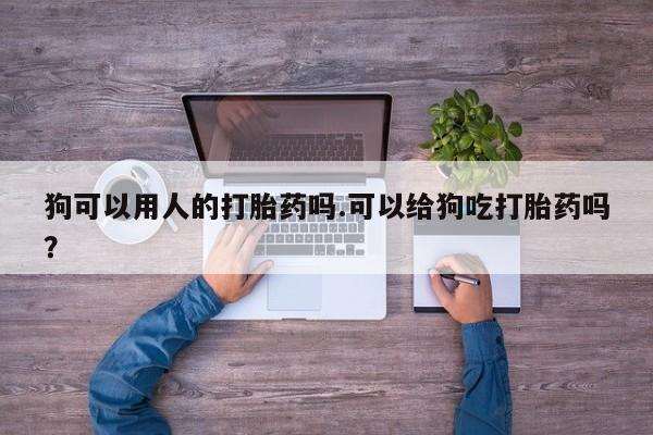 在哪里买流产药包邮狗可以用人的打胎药吗.可以给狗吃打胎药吗？