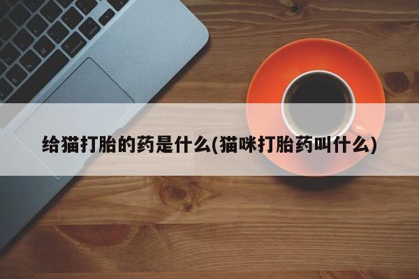 在哪里买流产药包邮给猫打胎的药是什么(猫咪打胎药叫什么)